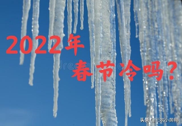 022牛年羊运好吗，91属羊人三大劫2022