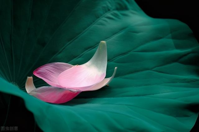 属猴女驾驭的生肖男，更优秀厉害的生肖女