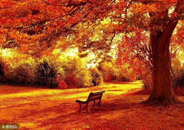 人生运势旺衰图免费测算 址，免费查看人生运势起伏图