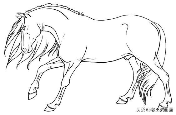 2生肖马图片大全，12生肖牛图片"