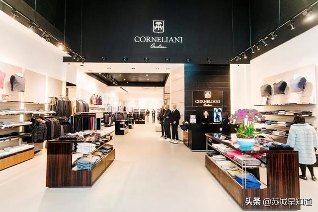 麦玲玲运势测算，麦玲玲2022 年运程十二生肖运程