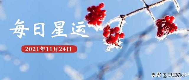 022年十二星座每日运势查询，狗人2022年运势运程"