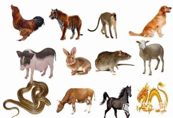 属羊生在哪个月最不好,十羊九不全在女不在男