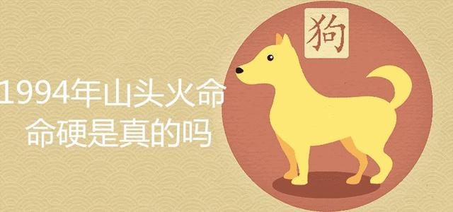 4年属狗是啥命,1994属狗人是什么命"