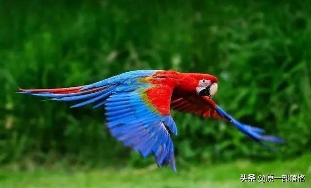 未来三个月运势，最近三个月运势免费算