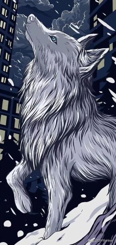 十二生肖图片大全12张真实图片，十二生肖图片大全可爱