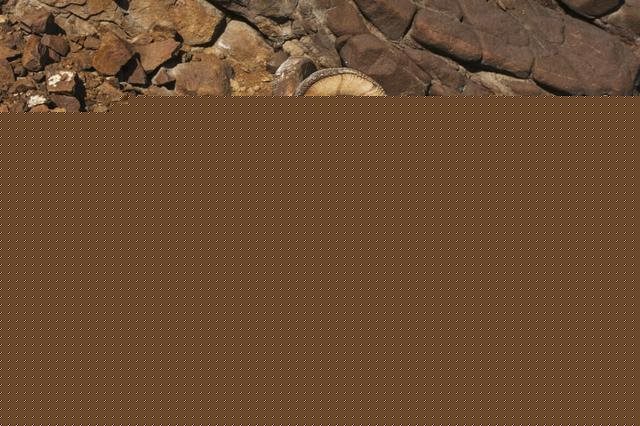 属羊大运在什么时候，79属羊2022 年大运