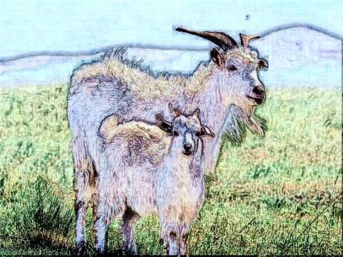 7年属羊的幸运数是多少，67年属羊人2022年命运"