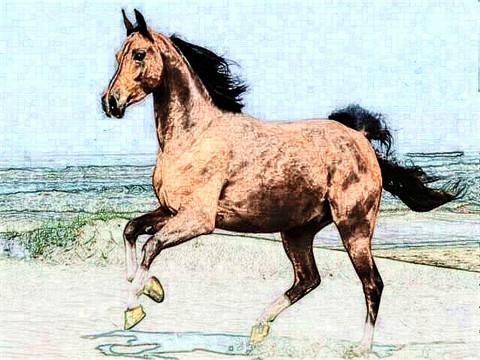 属马2022运程，78年属马43有个劫