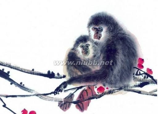 022年属猴女牢狱之灾，1980年生女猴2022年运势"