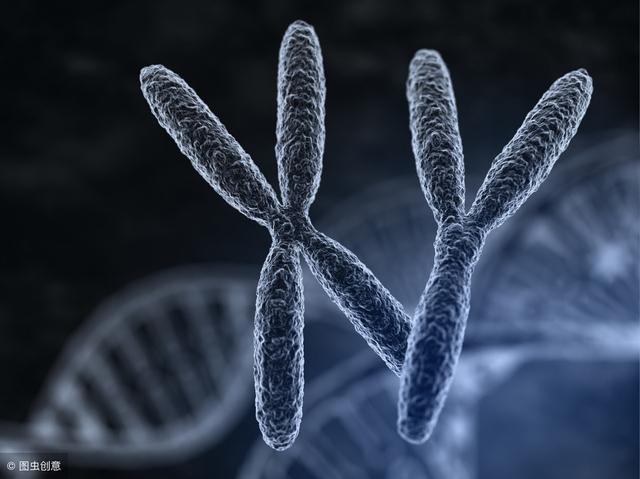儿女双全是福气，佛学解释儿女双全