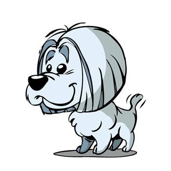 属狗的运势今年的运势，属羊今年的运势