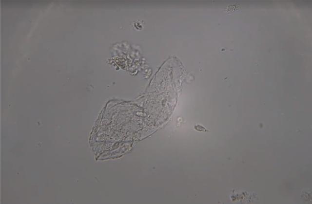 属羊男人喜欢吻哪里，怎样让属羊男最喜欢的女人