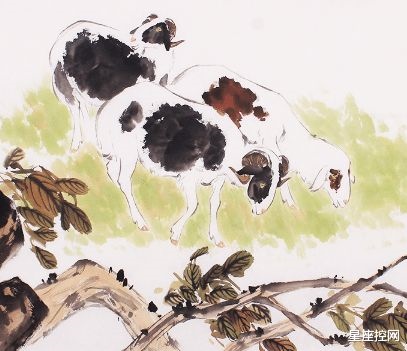 0年代属羊的是哪一年,20世纪70年代是那一年"