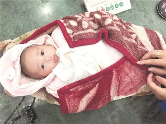 羊鼠谁克死谁的运势，羊鼠一旦休破解 ***