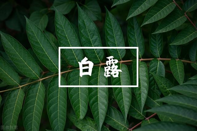 2年狗2022年必有一难,82年女狗2022年运势"