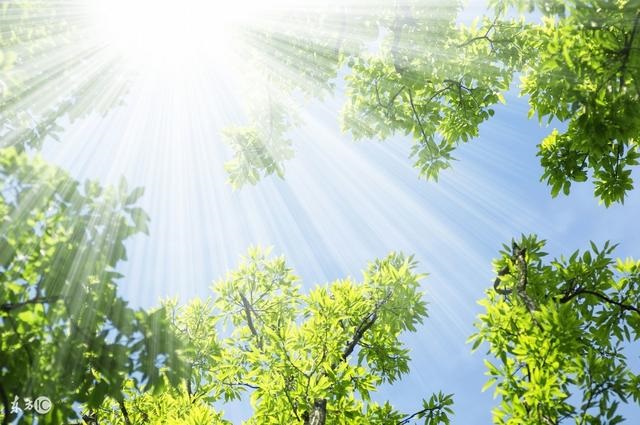 属羊的遇到虎年运势咋样，虎年属羊人的全年运势