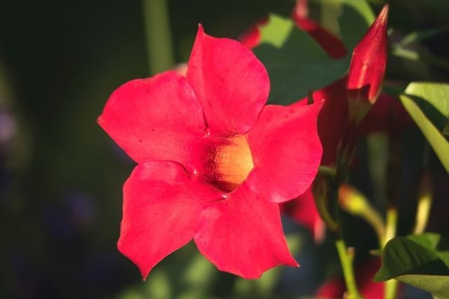 6年属鼠人注定的婚姻，96属鼠一生有几次婚姻"