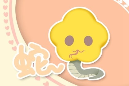 022属蛇运势，2022年属马运势"