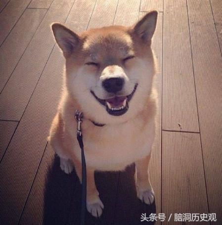 为什么女的属羊的命就不好，女人属羊为啥不好