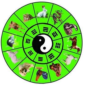 十二生肖今年每月运势查询,十二生肖每月运势详解2022