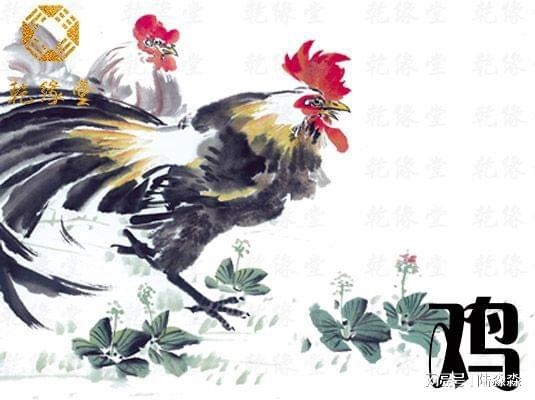 022年属鸡人的全年运势女,2022年属鸡人的全年运势1993出生"