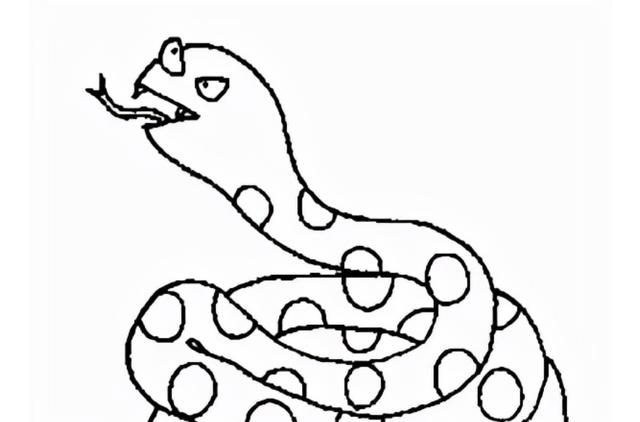 鼠和蛇父子好不好，蛇爸生鼠宝宝好不好