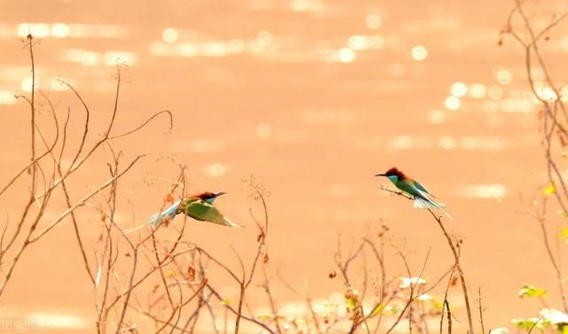 上等婚姻中等婚姻下等婚姻，婚姻易经上分几等婚姻