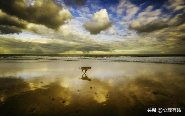 超级温柔体贴的生肖女，哪个生肖女最善解人意