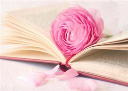 生肖运势今日运势，十二生肖今日偏财运