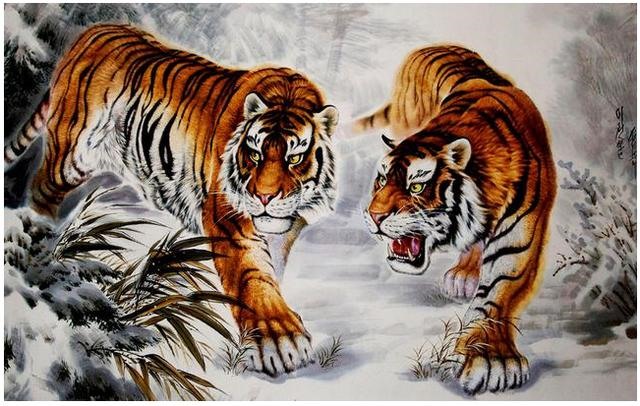 6年属虎的十年大运男，1986年属牛后半身的运"