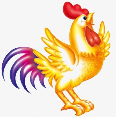 属鸡和属猪相配吗，属鸡跟属猪的合不合