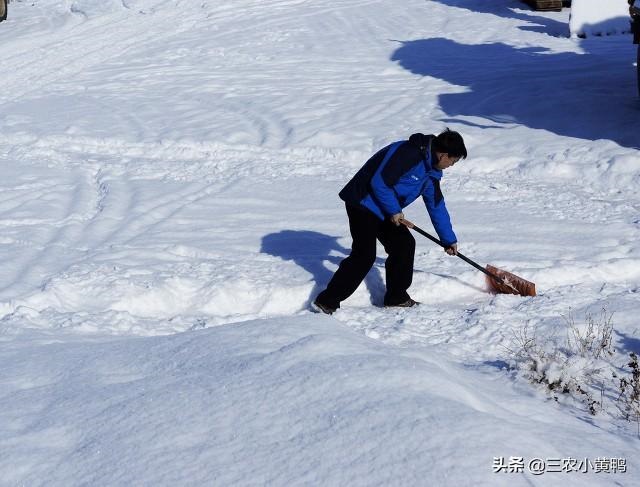 022牛年羊运好吗，91属羊人三大劫2022