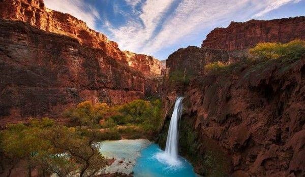 羊在风水中代表什么，羊代表什么象征意义