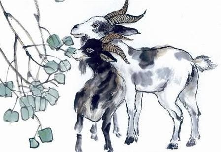 六七年属羊女今年运气,属羊女在哪年运势更好