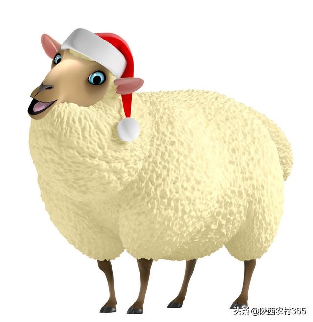 属羊属马早晚会离婚视频，属马女与属羊男婚姻配