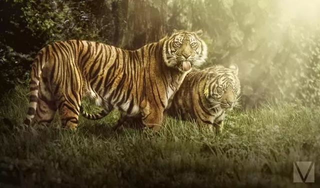 十二生肖的运势和婚姻，十二生肖今年的婚姻如何