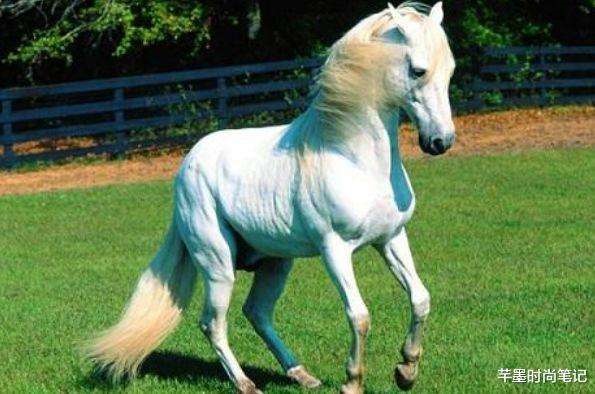 属马几点出生最苦命，生肖虎女哪天出生更好