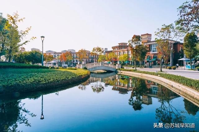 麦玲玲运势测算，麦玲玲2022 年运程十二生肖运程