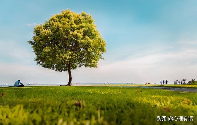 超级温柔体贴的生肖女，哪个生肖女最善解人意