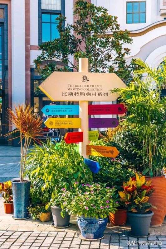 麦玲玲运势测算，麦玲玲2022 年运程十二生肖运程