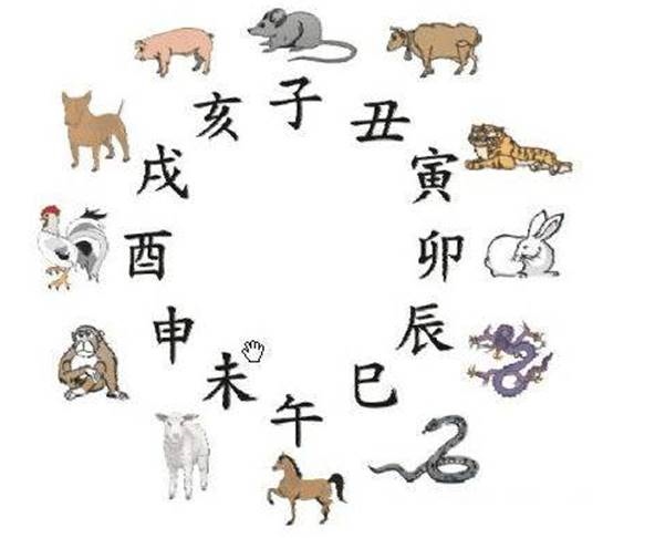 属狗婚姻属相配对大全,属狗的2022 年运势如何