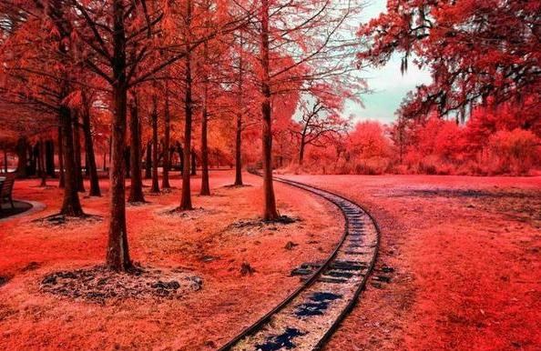 人生运势旺衰图免费测算 址，免费查看人生运势起伏图