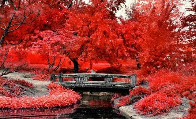 人生运势旺衰图免费测算 址，免费查看人生运势起伏图