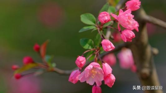 9岁的人今年运气怎么样，属鸡人39岁转运"