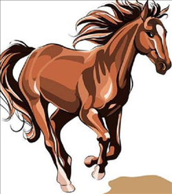 男马女羊相配好不好，男羊女马生什么宝宝好