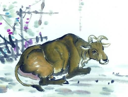 生肖羊未来几年运势，属羊未来5年运势走向