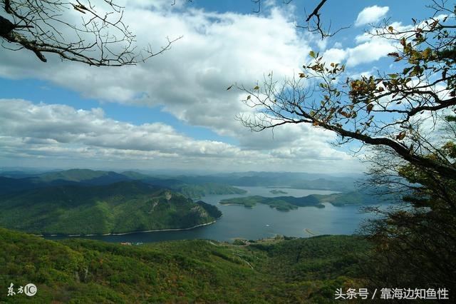 3年属牛2022年有三喜，2022年药士报名时间"