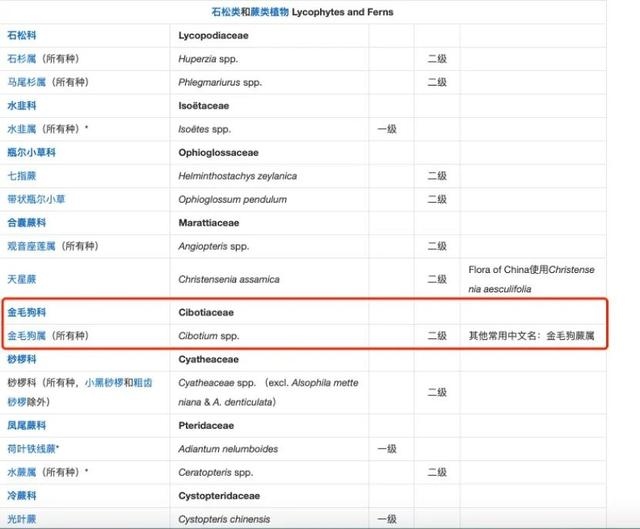 属龙男不宜和什么生肖最配，龙女不能配什么生肖