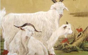 女人1979年属羊的婚配，79年属羊女的和什么属相最配